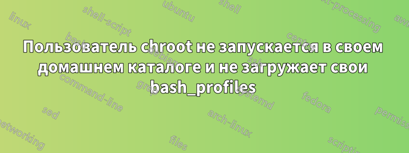 Пользователь chroot не запускается в своем домашнем каталоге и не загружает свои bash_profiles