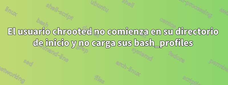 El usuario chrooted no comienza en su directorio de inicio y no carga sus bash_profiles