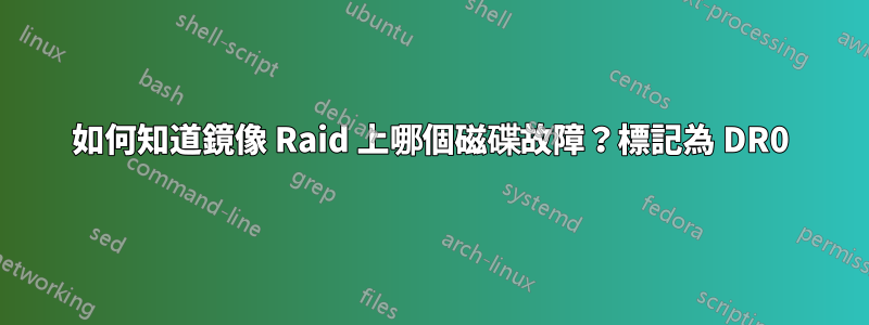 如何知道鏡像 Raid 上哪個磁碟故障?標記為 DR0
