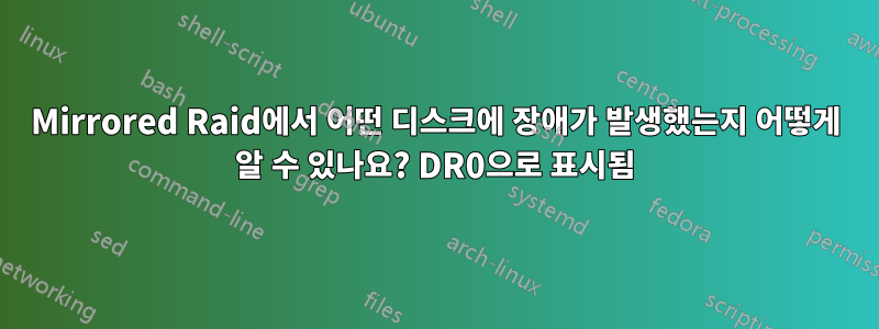 Mirrored Raid에서 어떤 디스크에 장애가 발생했는지 어떻게 알 수 있나요? DR0으로 표시됨