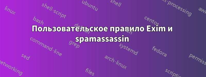 Пользовательское правило Exim и spamassassin