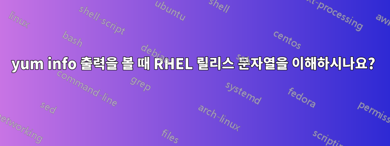 yum info 출력을 볼 때 RHEL 릴리스 문자열을 이해하시나요?