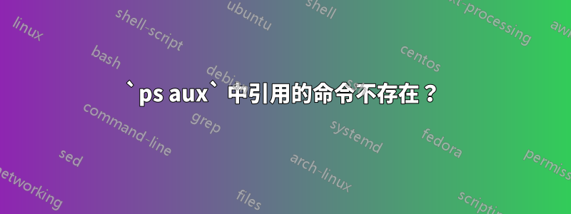 `ps aux` 中引用的命令不存在？