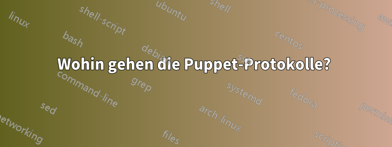 Wohin gehen die Puppet-Protokolle?