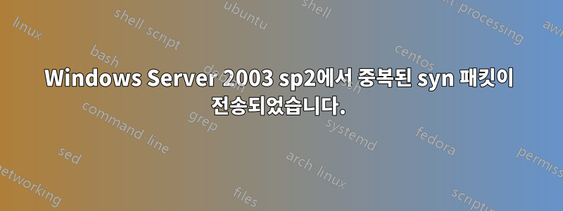 Windows Server 2003 sp2에서 중복된 syn 패킷이 전송되었습니다.