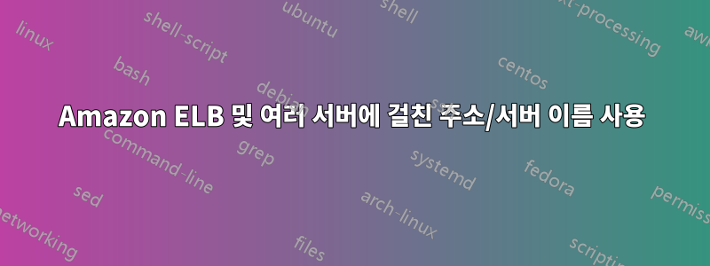Amazon ELB 및 여러 서버에 걸친 주소/서버 이름 사용