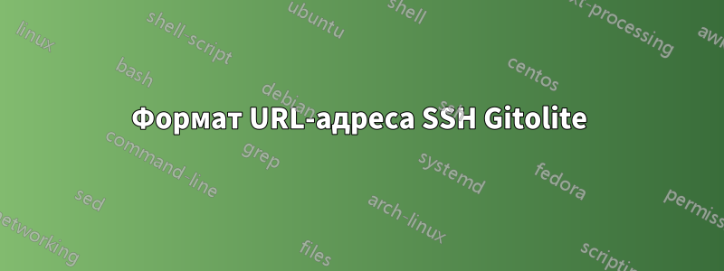 Формат URL-адреса SSH Gitolite