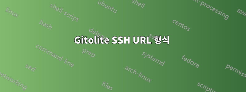 Gitolite SSH URL 형식