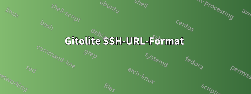 Gitolite SSH-URL-Format