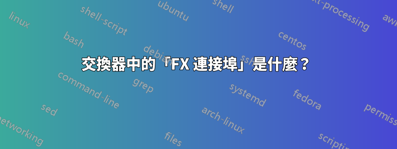 交換器中的「FX 連接埠」是什麼？