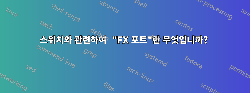 스위치와 관련하여 "FX 포트"란 무엇입니까?