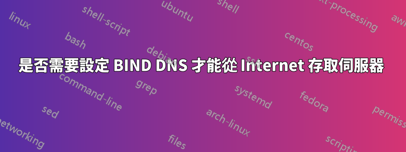 是否需要設定 BIND DNS 才能從 Internet 存取伺服器