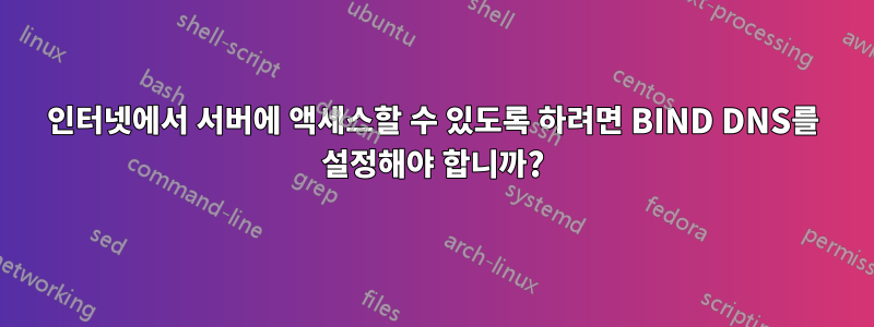 인터넷에서 서버에 액세스할 수 있도록 하려면 BIND DNS를 설정해야 합니까?