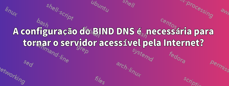 A configuração do BIND DNS é necessária para tornar o servidor acessível pela Internet?