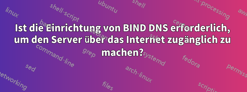 Ist die Einrichtung von BIND DNS erforderlich, um den Server über das Internet zugänglich zu machen?