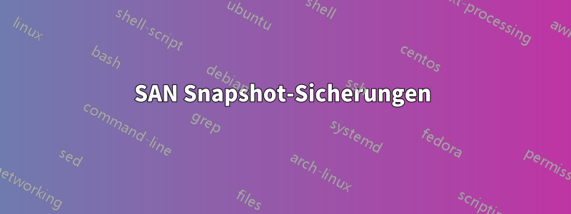 SAN Snapshot-Sicherungen