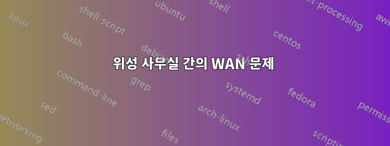위성 사무실 간의 WAN 문제