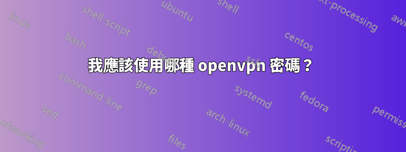 我應該使用哪種 openvpn 密碼？