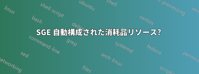SGE 自動構成された消耗品リソース?