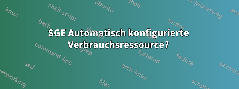 SGE Automatisch konfigurierte Verbrauchsressource?