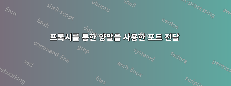 프록시를 통한 양말을 사용한 포트 전달