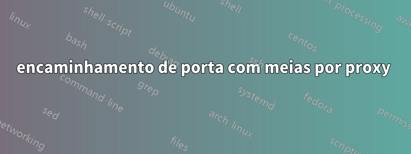 encaminhamento de porta com meias por proxy