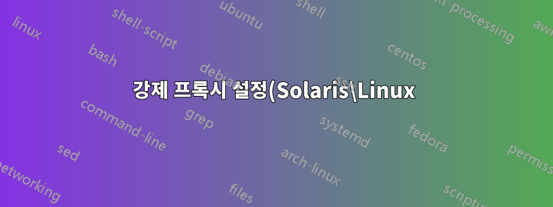 강제 프록시 설정(Solaris\Linux)