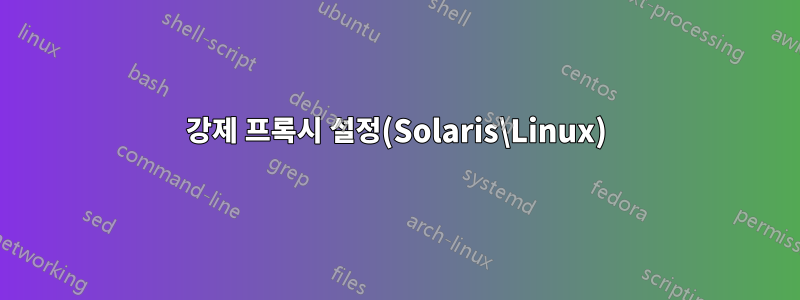 강제 프록시 설정(Solaris\Linux)