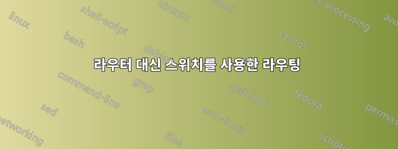라우터 대신 스위치를 사용한 라우팅