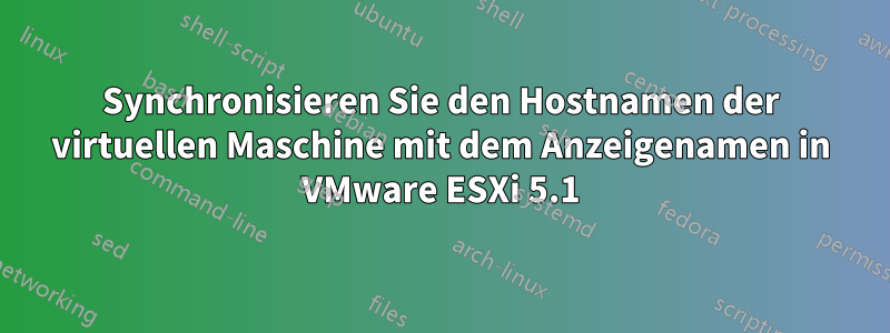 Synchronisieren Sie den Hostnamen der virtuellen Maschine mit dem Anzeigenamen in VMware ESXi 5.1