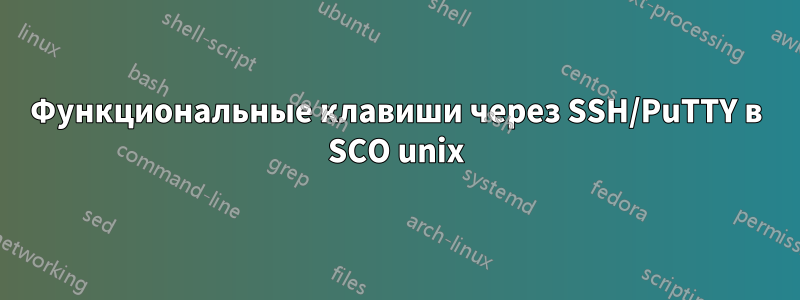 Функциональные клавиши через SSH/PuTTY в SCO unix