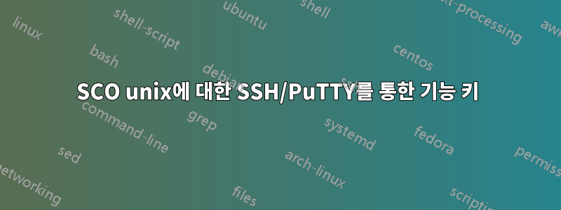 SCO unix에 대한 SSH/PuTTY를 통한 기능 키