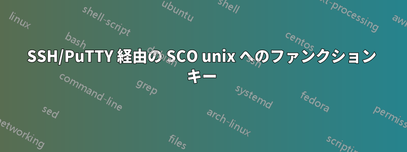 SSH/PuTTY 経由の SCO unix へのファンクション キー