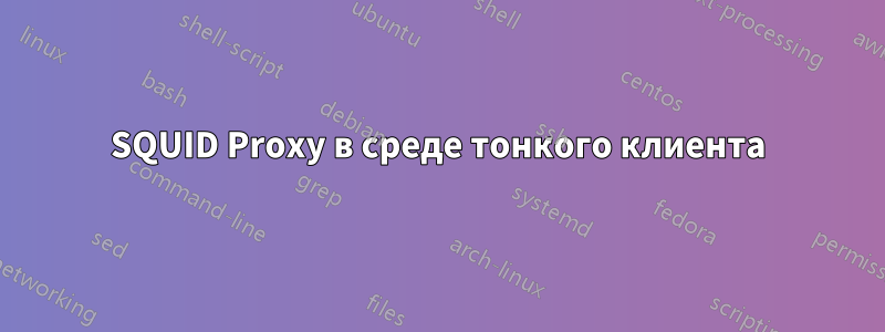 SQUID Proxy в среде тонкого клиента