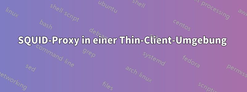SQUID-Proxy in einer Thin-Client-Umgebung