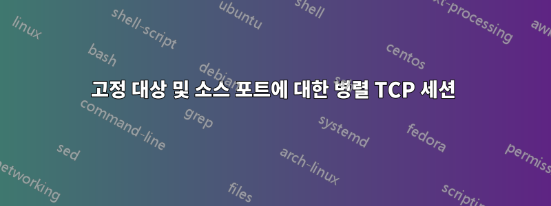 고정 대상 및 소스 포트에 대한 병렬 TCP 세션