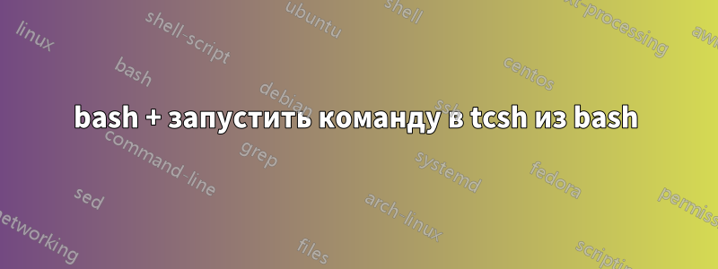 bash + запустить команду в tcsh из bash