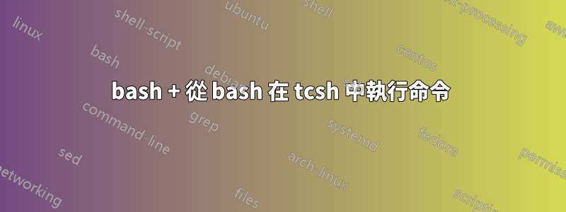 bash + 從 bash 在 tcsh 中執行命令
