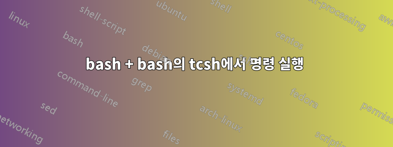 bash + bash의 tcsh에서 명령 실행