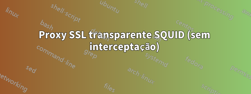 Proxy SSL transparente SQUID (sem interceptação)
