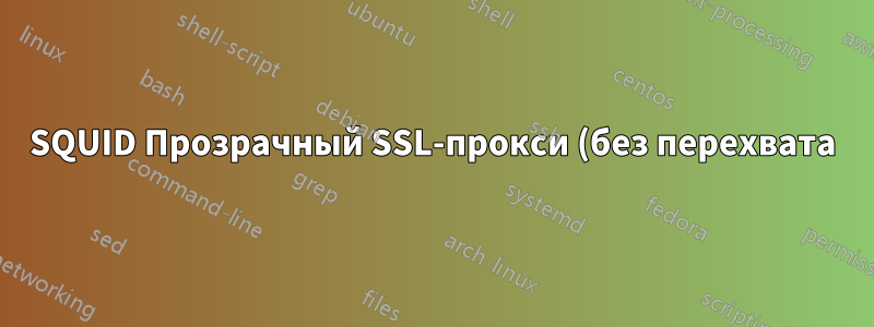 SQUID Прозрачный SSL-прокси (без перехвата)