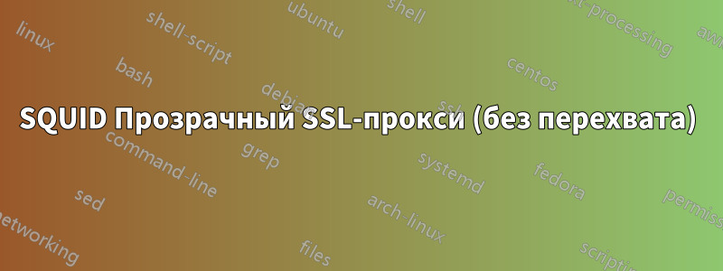 SQUID Прозрачный SSL-прокси (без перехвата)