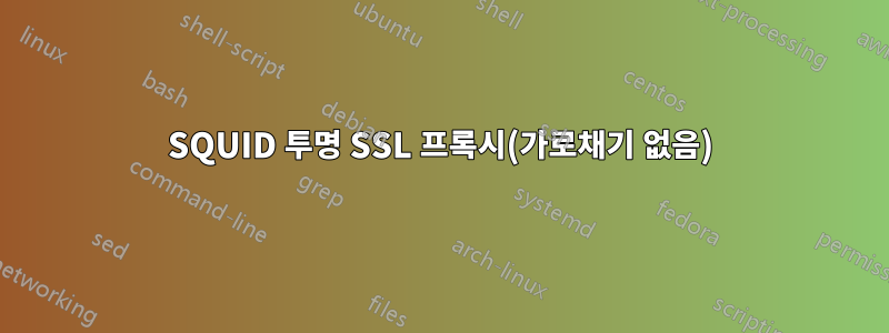 SQUID 투명 SSL 프록시(가로채기 없음)