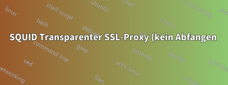 SQUID Transparenter SSL-Proxy (kein Abfangen)