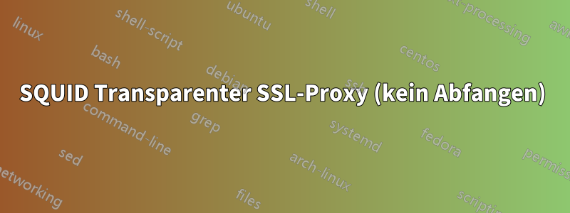 SQUID Transparenter SSL-Proxy (kein Abfangen)