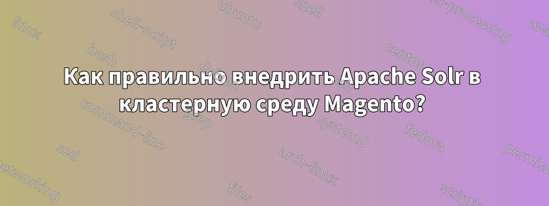 Как правильно внедрить Apache Solr в кластерную среду Magento?