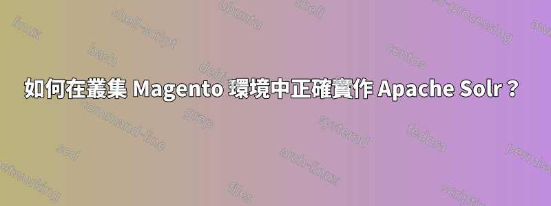如何在叢集 Magento 環境中正確實作 Apache Solr？