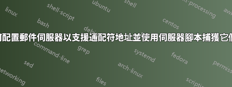 如何配置郵件伺服器以支援通配符地址並使用伺服器腳本捕獲它們？