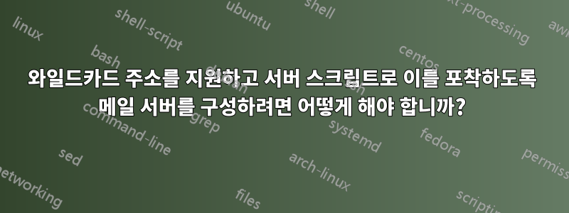 와일드카드 주소를 지원하고 서버 스크립트로 이를 포착하도록 메일 서버를 구성하려면 어떻게 해야 합니까?