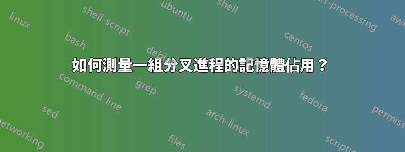 如何測量一組分叉進程的記憶體佔用？
